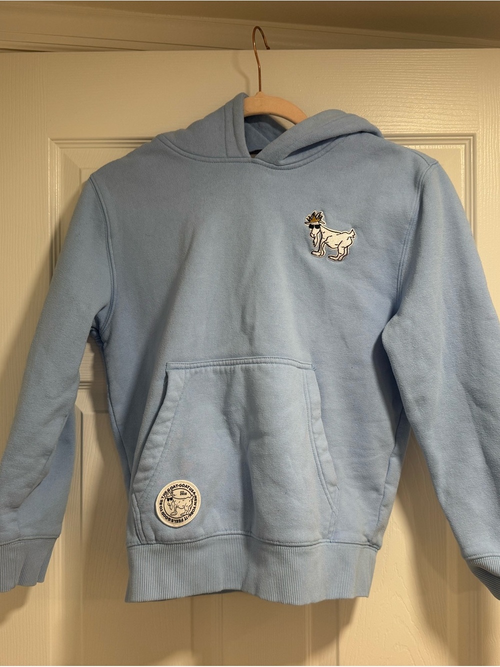 Sky Blue Pullover Hoodie with Goat Patch
